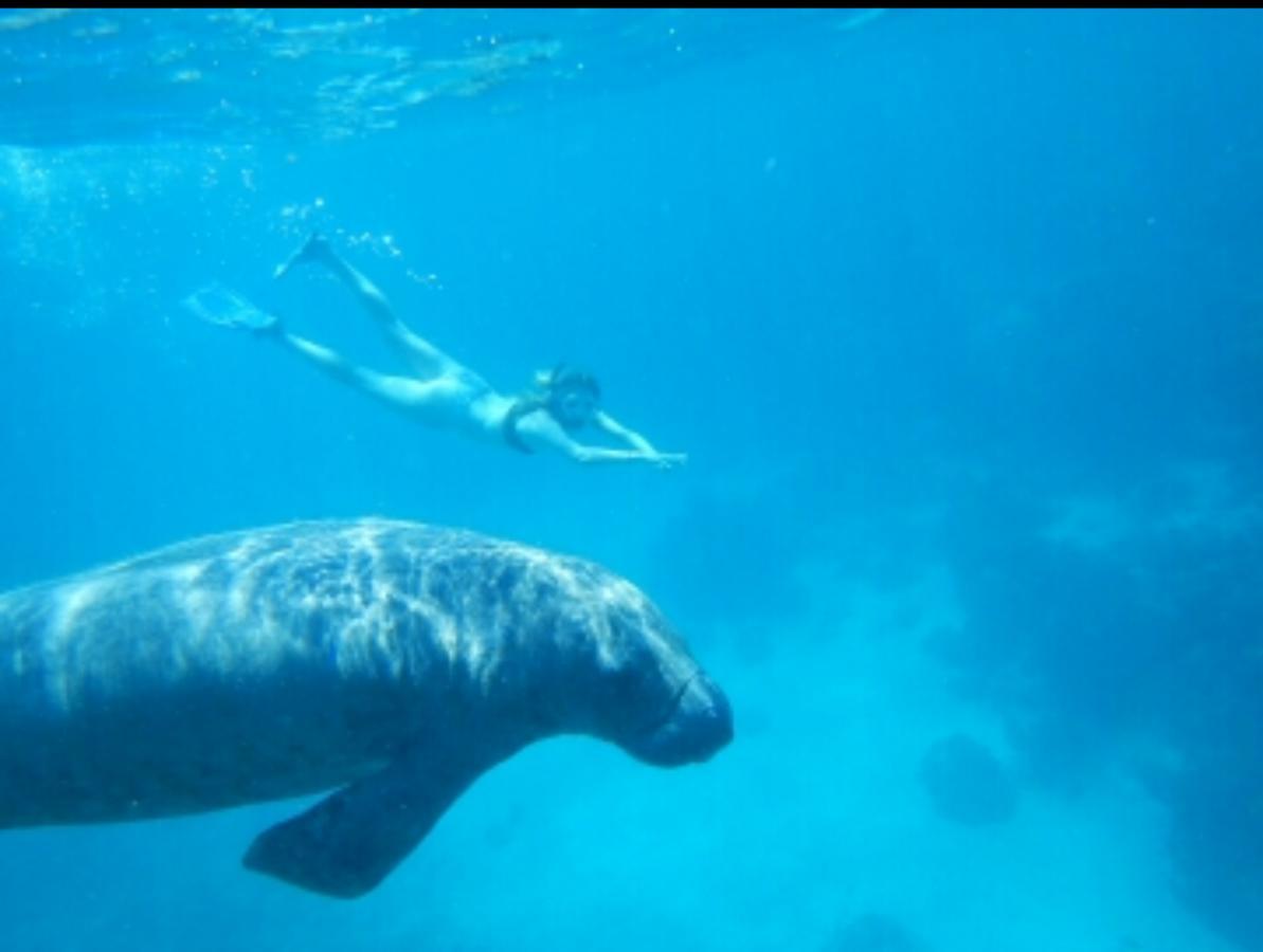 Go Slow Guesthouse Caye Caulker Esterno foto